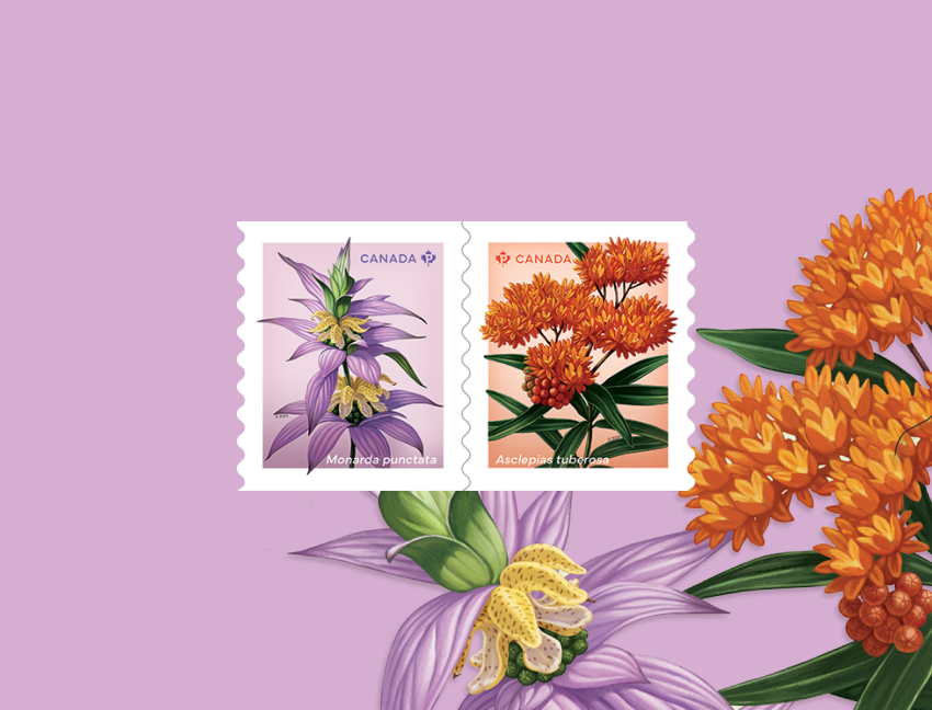 The 2024 flowers stamp series features 2 native wildflowers, butterfly milkweed (Asclepias tuberosa) and spotted beebalm (Monarda punctata).
